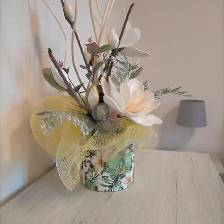 Casa Moki * Uliveto Terme